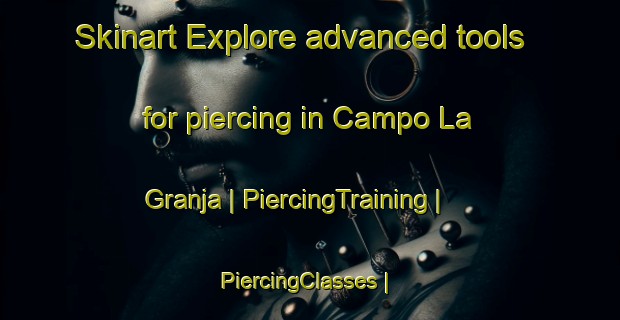 Skinart Explore advanced tools for piercing in Campo La Granja | PiercingTraining | PiercingClasses | SkinartTraining-Mexico